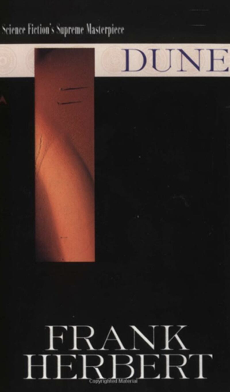 galleries/2011/07/23/summer-reading-junot-diaz-to-kathryn-stockett-pick-their-favorite/dune_zs6uos