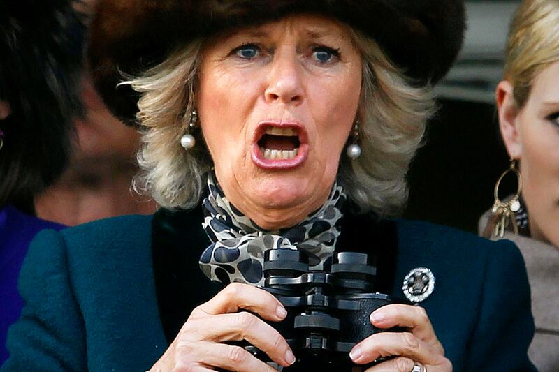 articles/2012/03/15/zara-phillips-and-camilla-see-zara-s-ex-in-horror-racing-fall/camilla-horse-crash-cheat_qrpxzg
