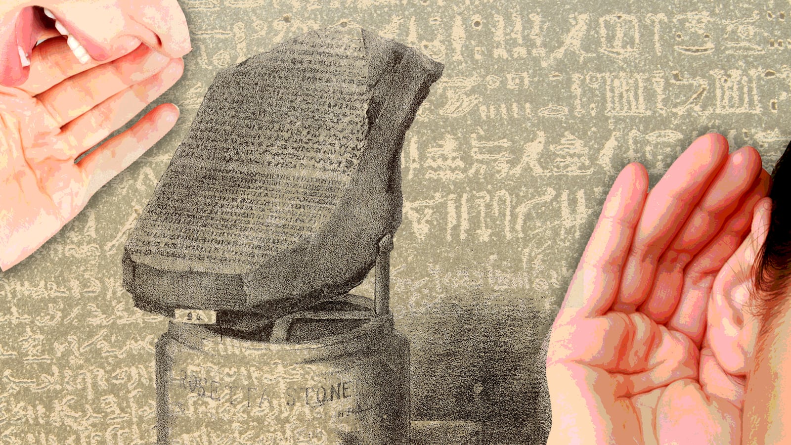 170803-Moss-language-hero_esvia6