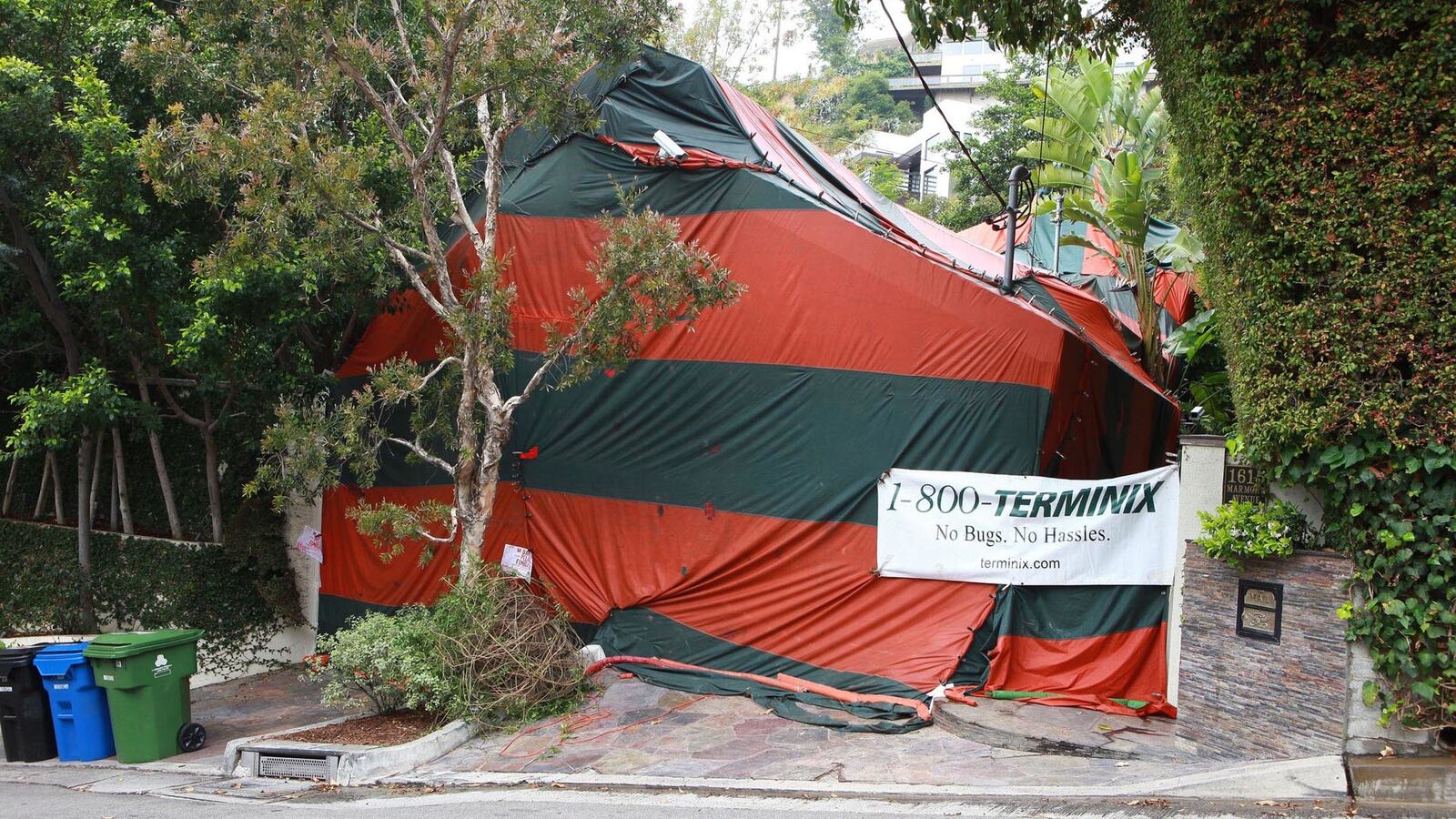 171120-Plesset-terminix-tease_s73v5p