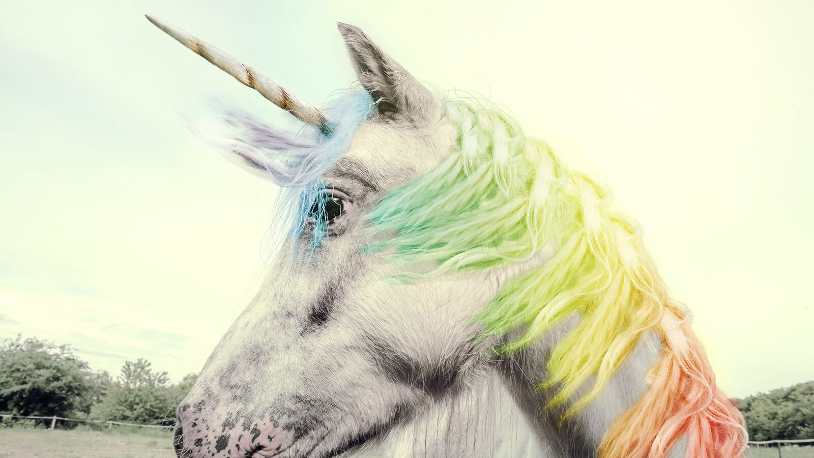 articles/2015/05/23/why-we-believe-fake-studies/150522-chituc-gay-canvasser-tease_wbeaxw