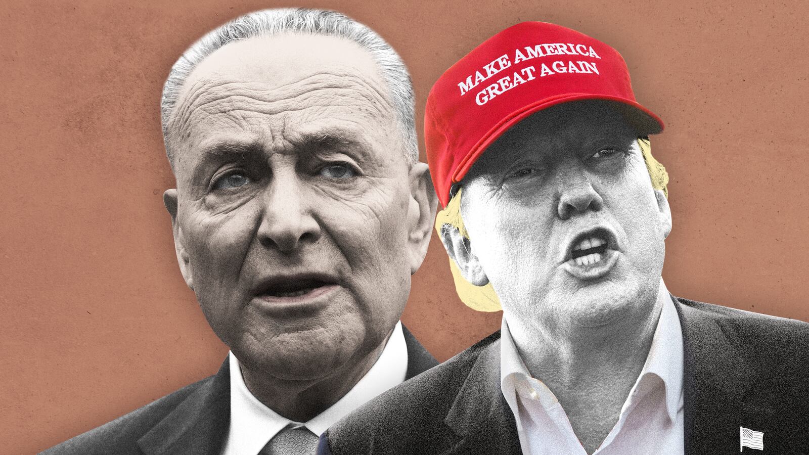 190125-Stein-Shutdown-tease-_uogrhx