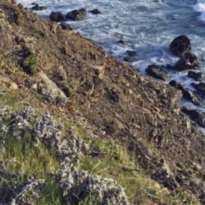 CHP_a2gf9f_kxpdsp_s33dgr