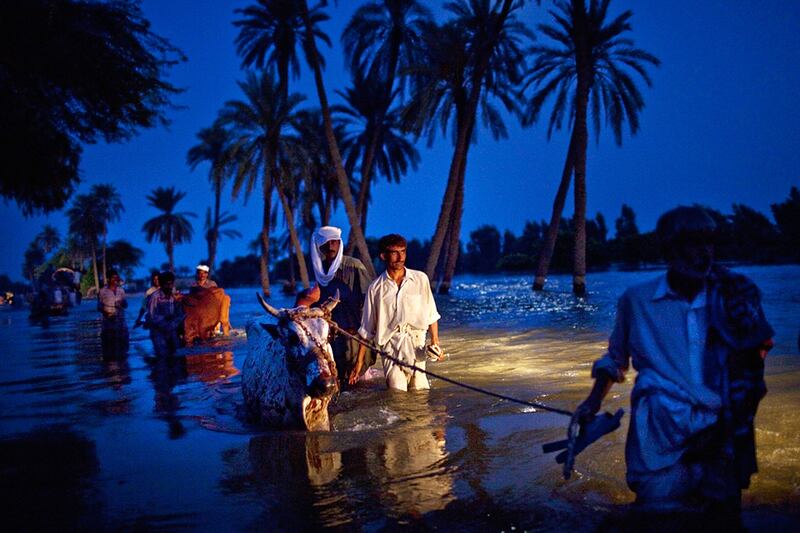 galleries/2010/12/29/the-year-in-pictures-2010/year-in-pictures---pakistan-2_pmggnw