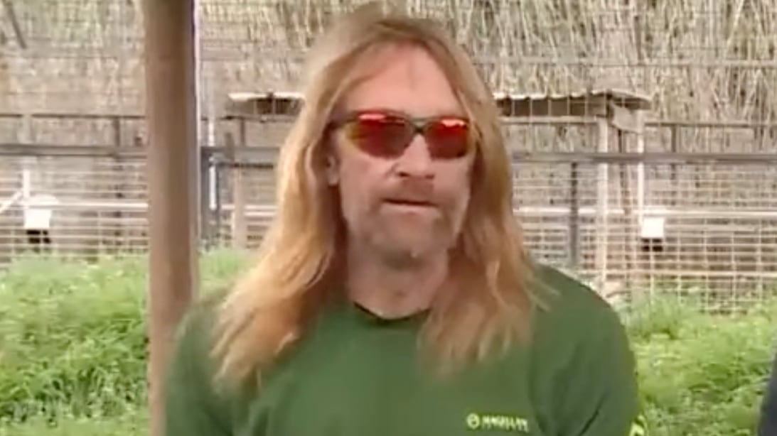 cowie-thisone_iipt7v