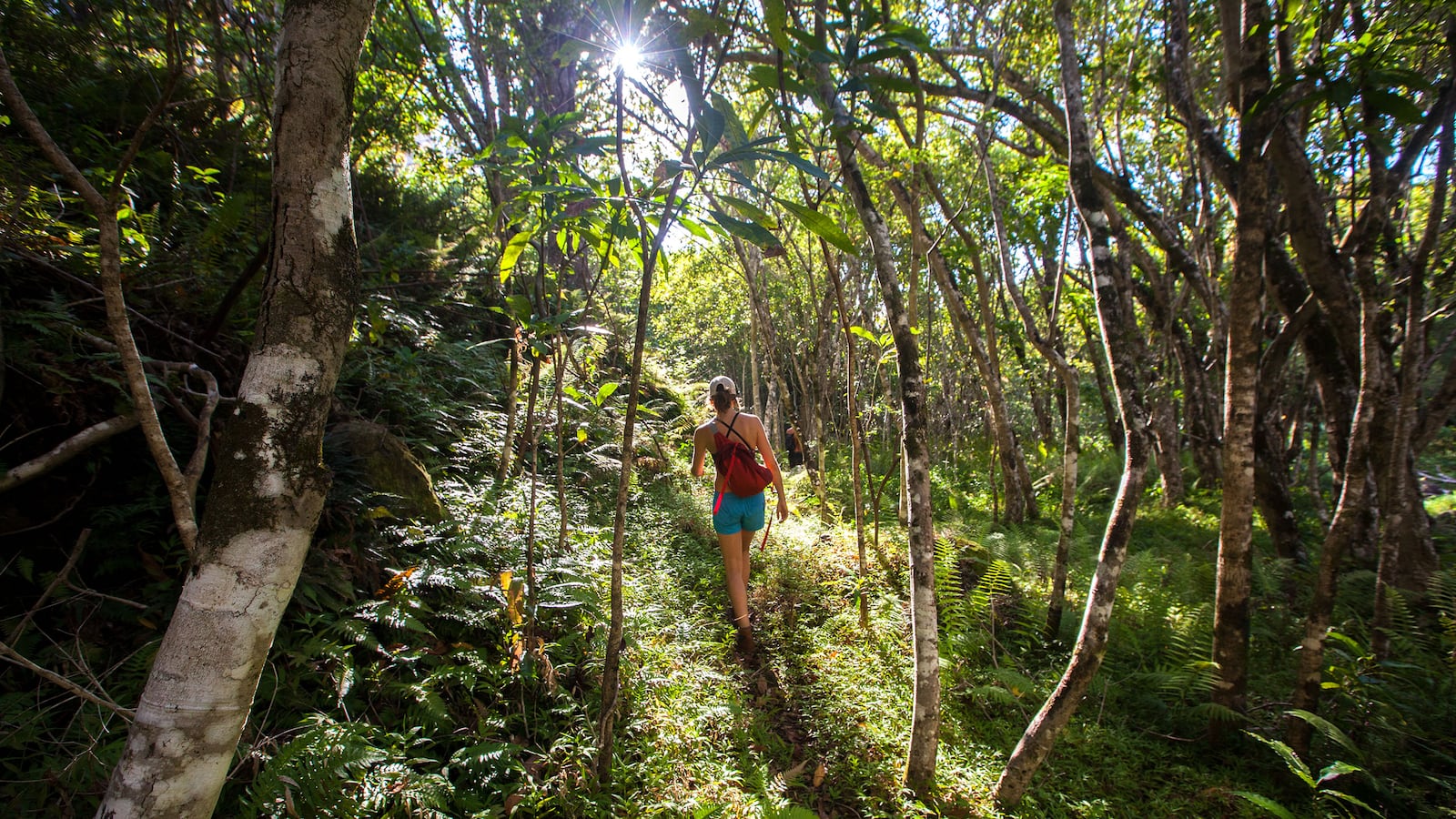 180622-ross-hawaii-hike-hero_nbtydv