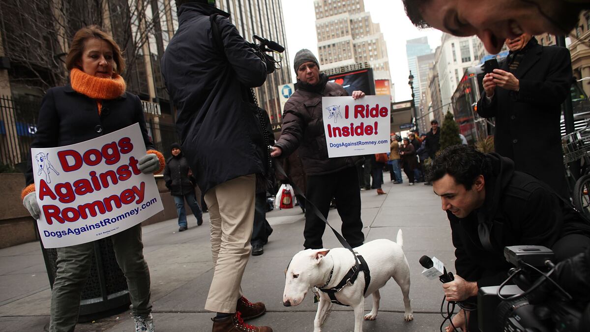 cheats/2012/08/23/dogs-against-romney-to-rally/dogs-against-romney-cheat_phmugd