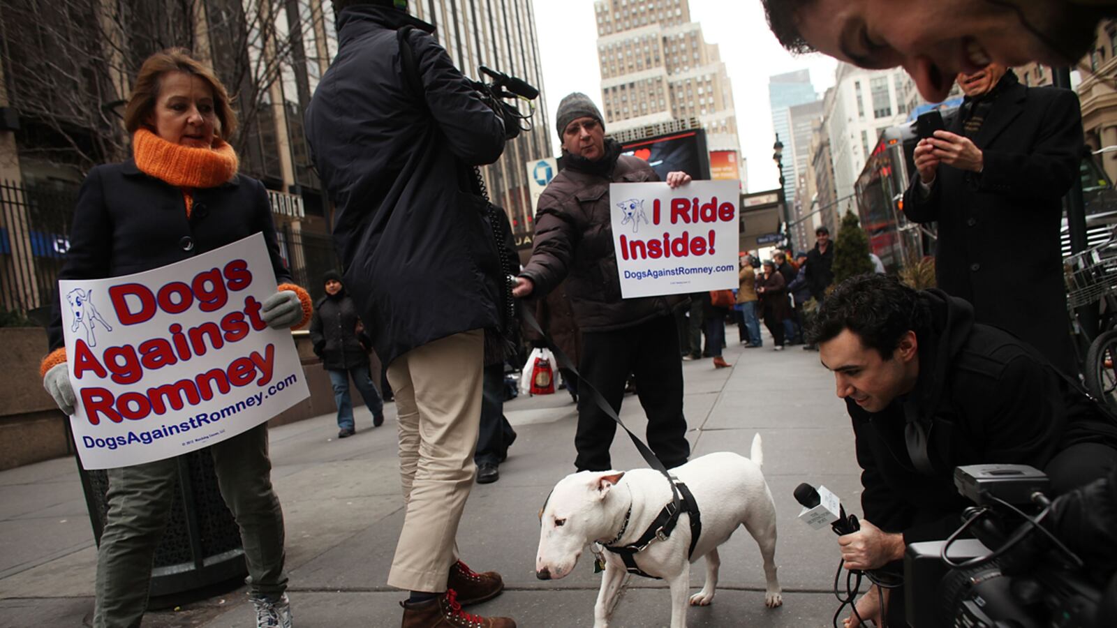 cheats/2012/08/23/dogs-against-romney-to-rally/dogs-against-romney-cheat_phmugd