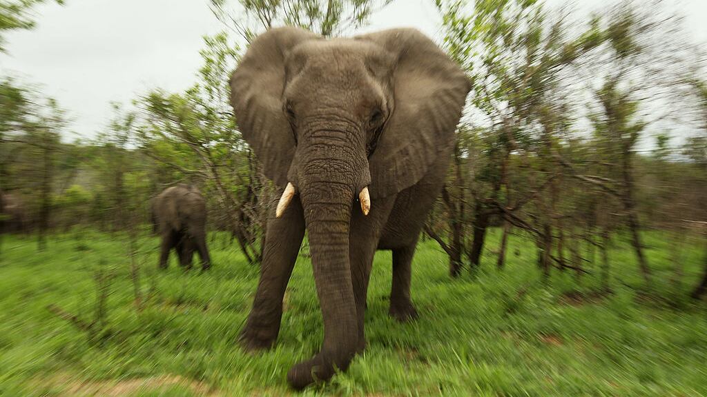 GettyImages-107405549_a5nmlc