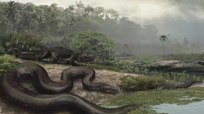 cheats/2009/02/05/worlds-largest-snake/snake_zi95j2