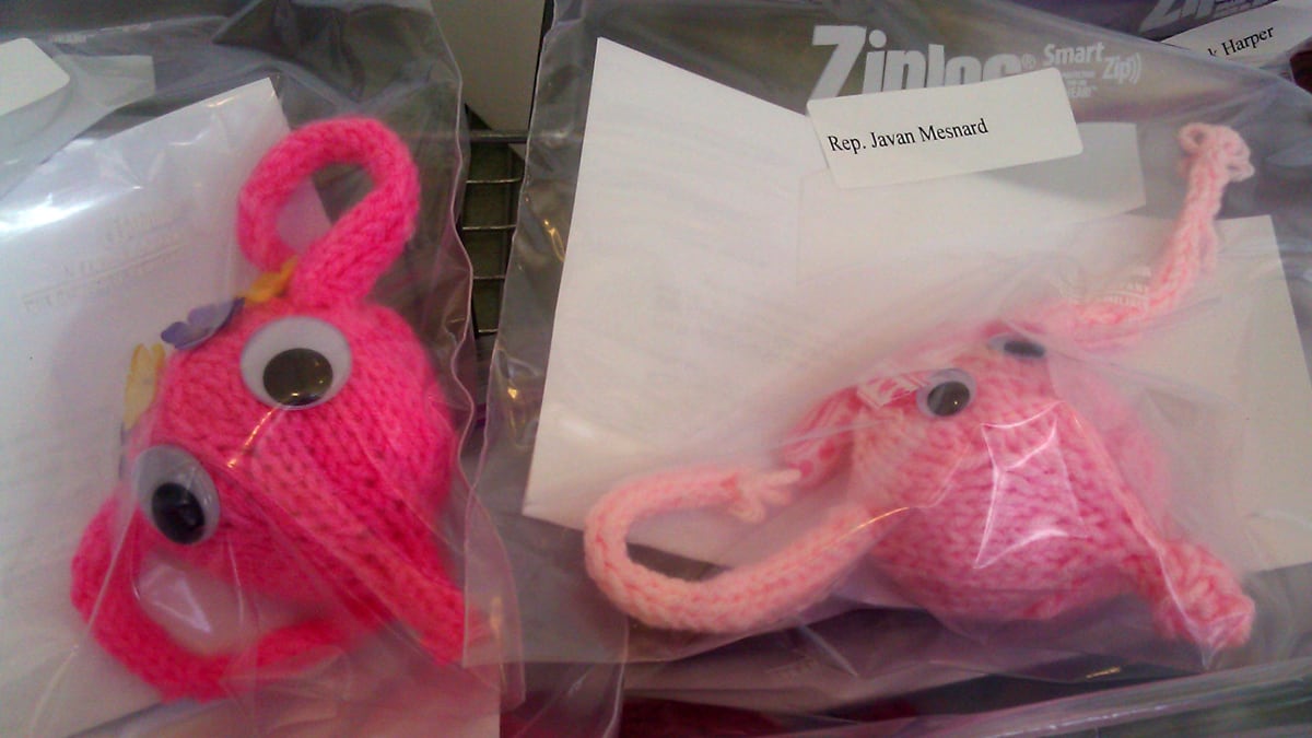 cheats/2012/04/05/protesters-send-knitted-uteri/knitted-uterus-cs_totp6g