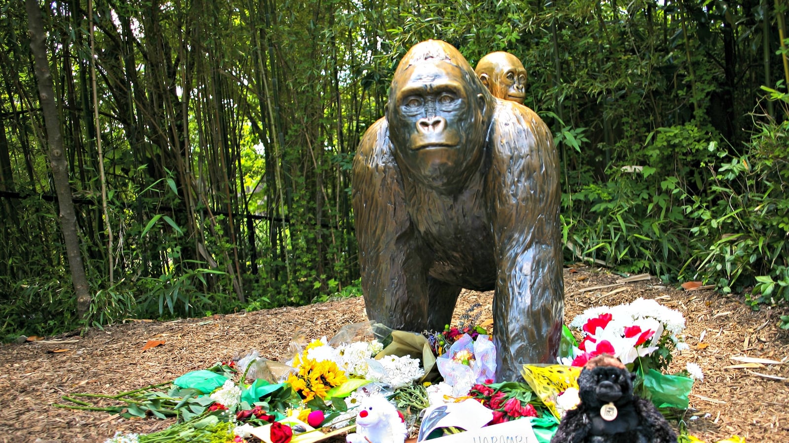 cheats/2016/08/22/cincinnati-zoo-please-stop-making-harambe-memes/160822-harambe-memes-cheat_dnesyu