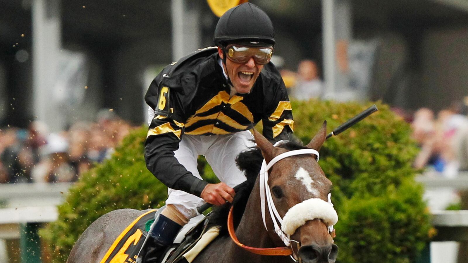 cheats/2013/05/18/oxbow-wins-preakness/130518-oxbow-preakness-winner-cheat_asxxas