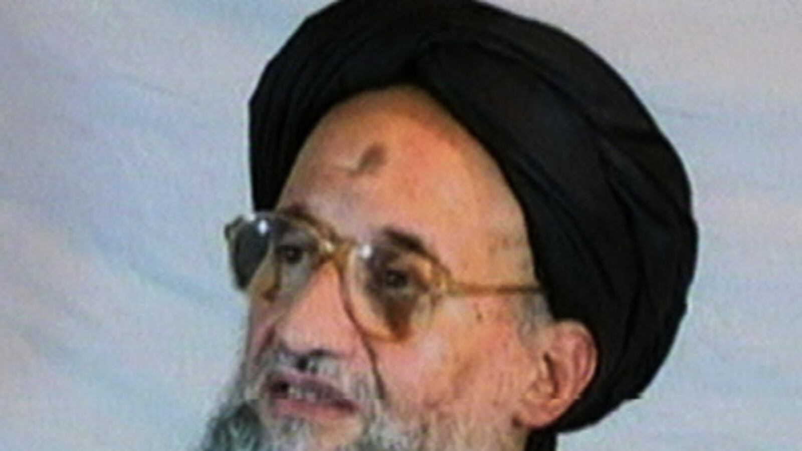 cheats/2011/05/06/new-intel-on-al-qaedas-no-2/al-zawahri_177327_wb3ljg