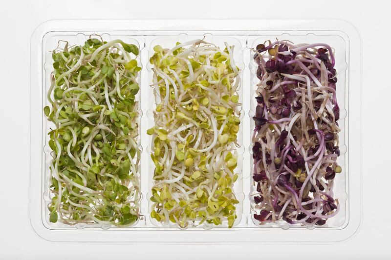 galleries/2011/12/30/most-effective-diets-for-2012-photos/vegan-diet_pi0w3q