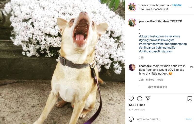 Screen_Shot_2021-04-29_at_11.45.12_AM_kdxond