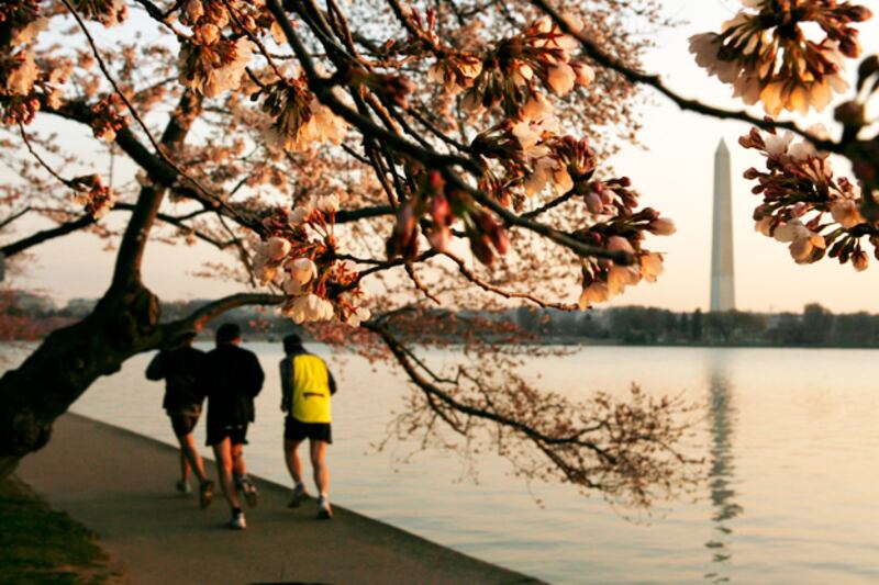 galleries/2010/10/23/smartest-cities/smartest-cities---washington-dc_nfdrfi