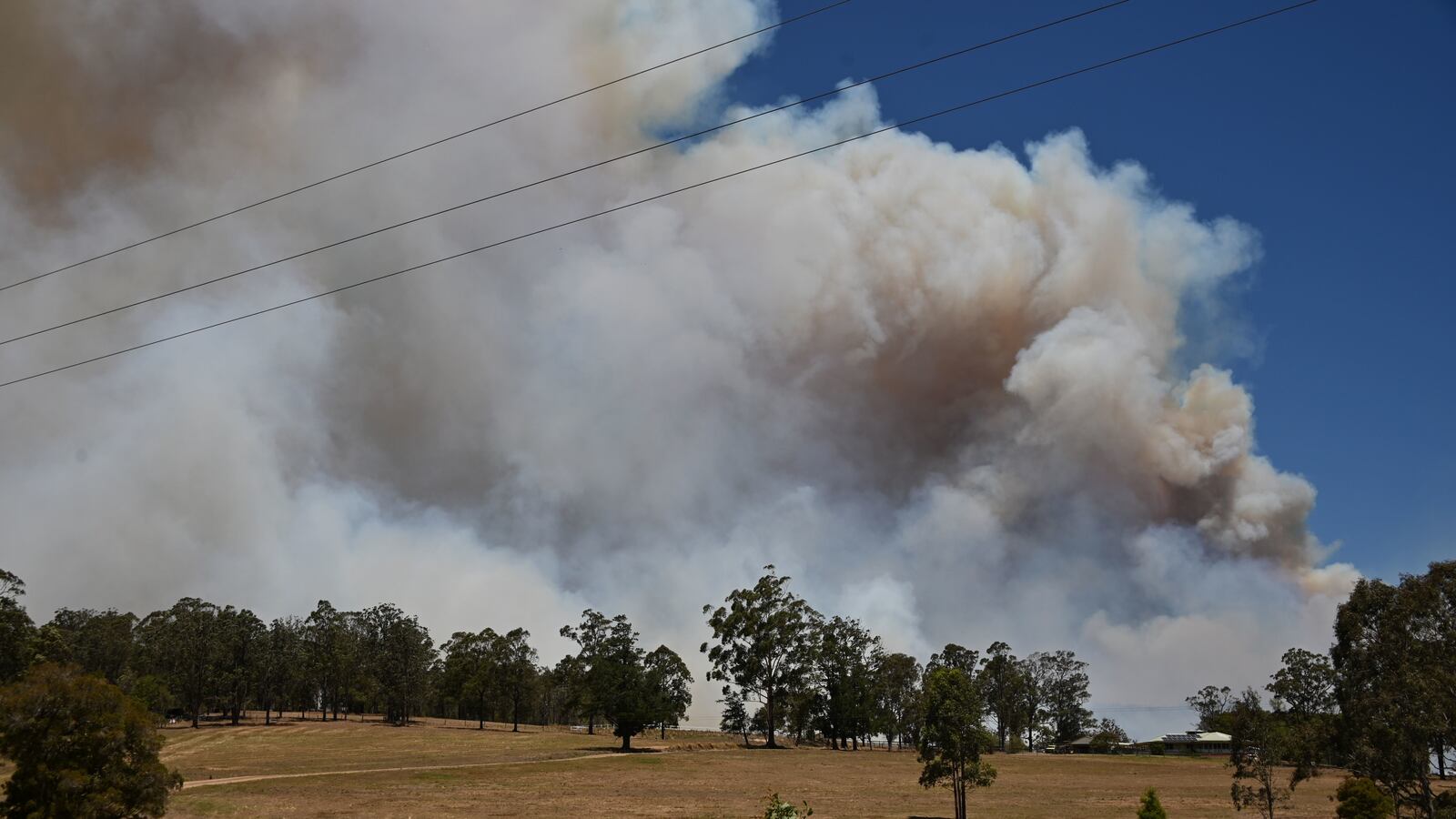 GettyImages-1181819310_ql2c7x