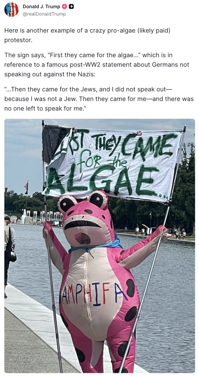 Trump Truth Social post about a “pro-algae” protestor