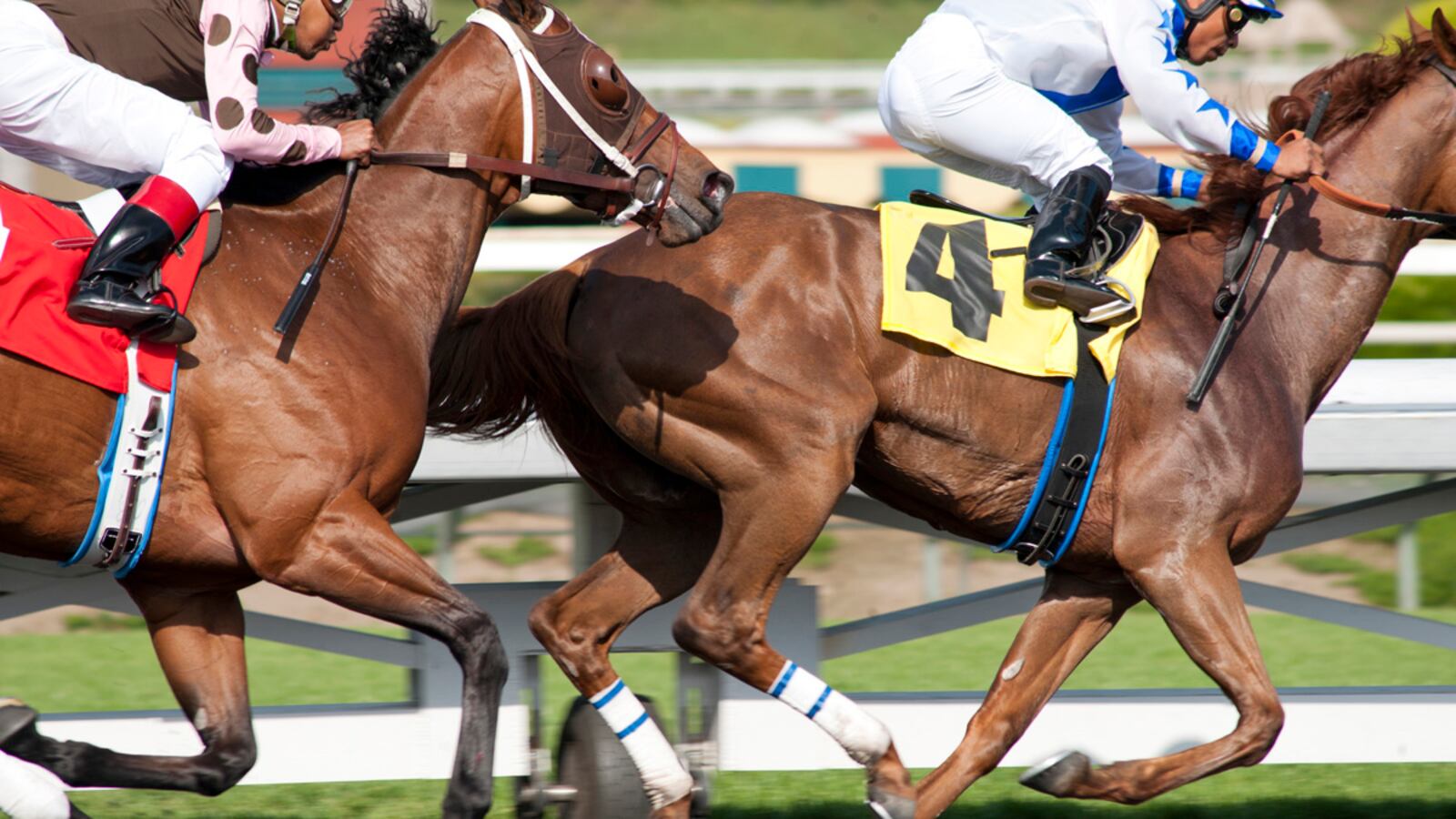 articles/2012/03/16/luck-runs-out-if-horses-die-while-cameras-roll-you-must-quit/luck-horse-racing-watman_hzybaa