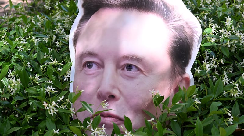 An Elon Musk sign hides out in a bush near proceedings in the trial over Elon Musk's lawsuit against OpenAI in Oakland, California, earlier this year.