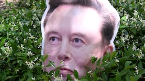 An Elon Musk sign hides out in a bush near proceedings in the trial over Elon Musk's lawsuit against OpenAI in Oakland, California, earlier this year.