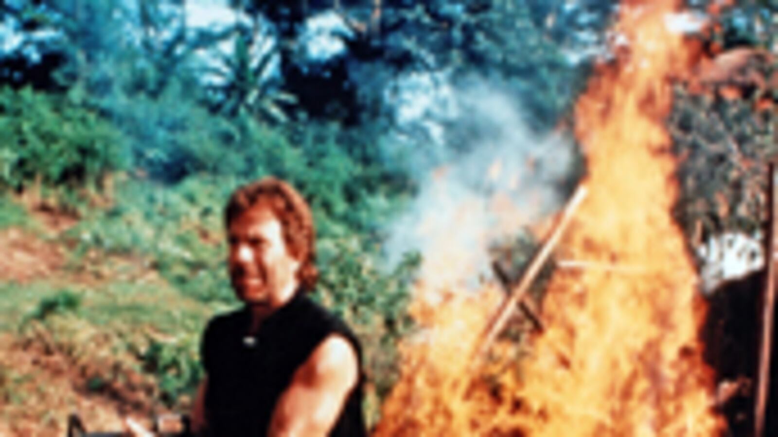 articles/2009/12/06/the-cult-of-chuck-norris/macauley-chuck-norris_67600_pzqbue