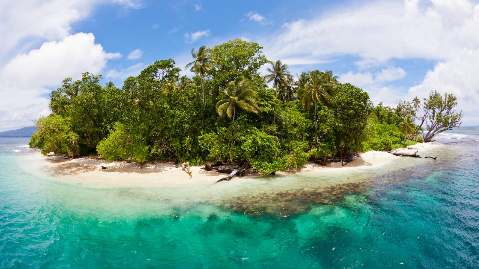 GettyImages-519977760_vyvc4m