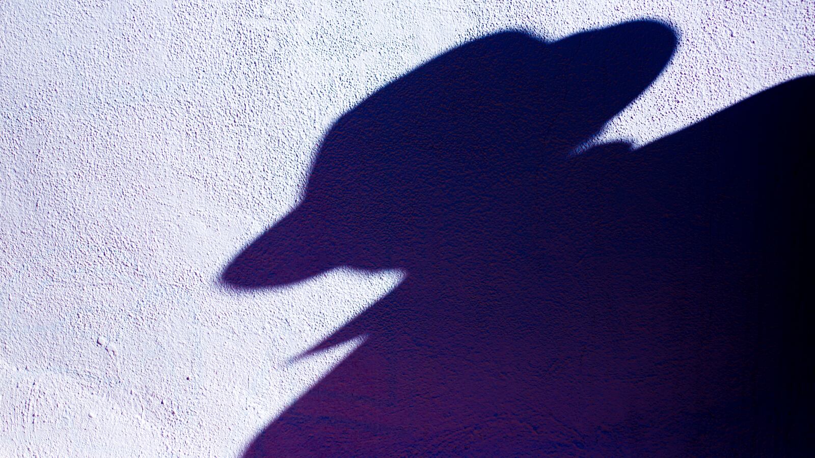 Silhouette of man in Fedora