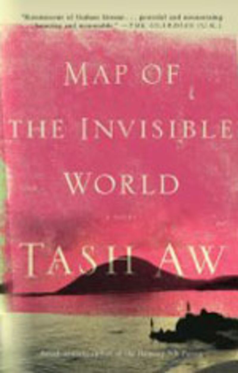 articles/2010/01/18/this-weeks-hot-reads-18/book-cover---hot-reads-118---map-of-the-invisible-world_wdetsk