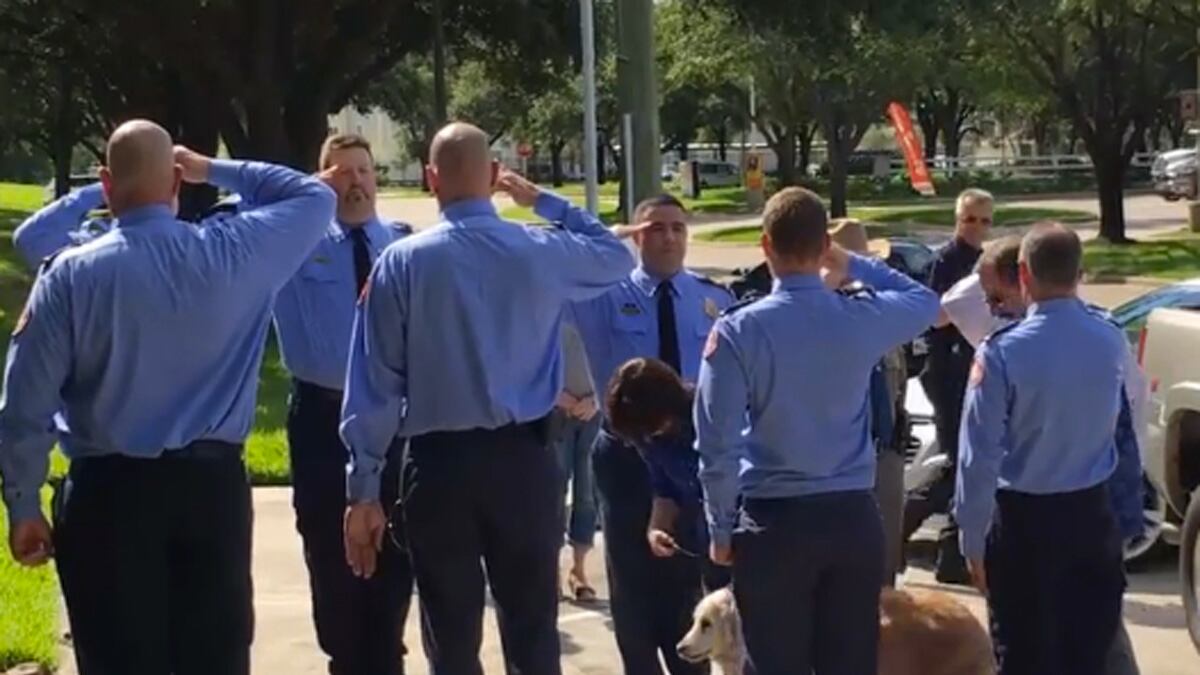 cheats/2016/06/06/last-known-9-11-search-dog-dies/160607-betagne-rescue-dog-cheat_tztbat