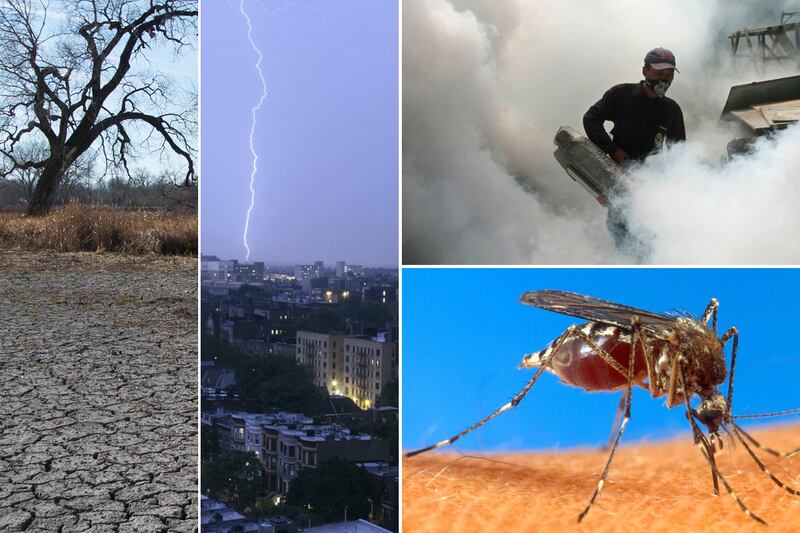 galleries/2013/05/24/cicadas-sharks-and-more-horrors-to-come-in-summer-2013-photos/130525-summer-horror-tease_iqykcn