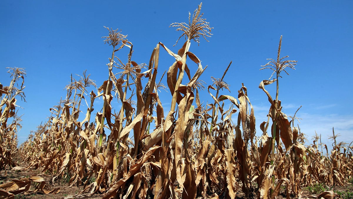 articles/2012/07/21/does-global-warming-cause-severe-weather-global-weirdness-excerpt/global-weirdness-heat-wave-drought_sd2yag