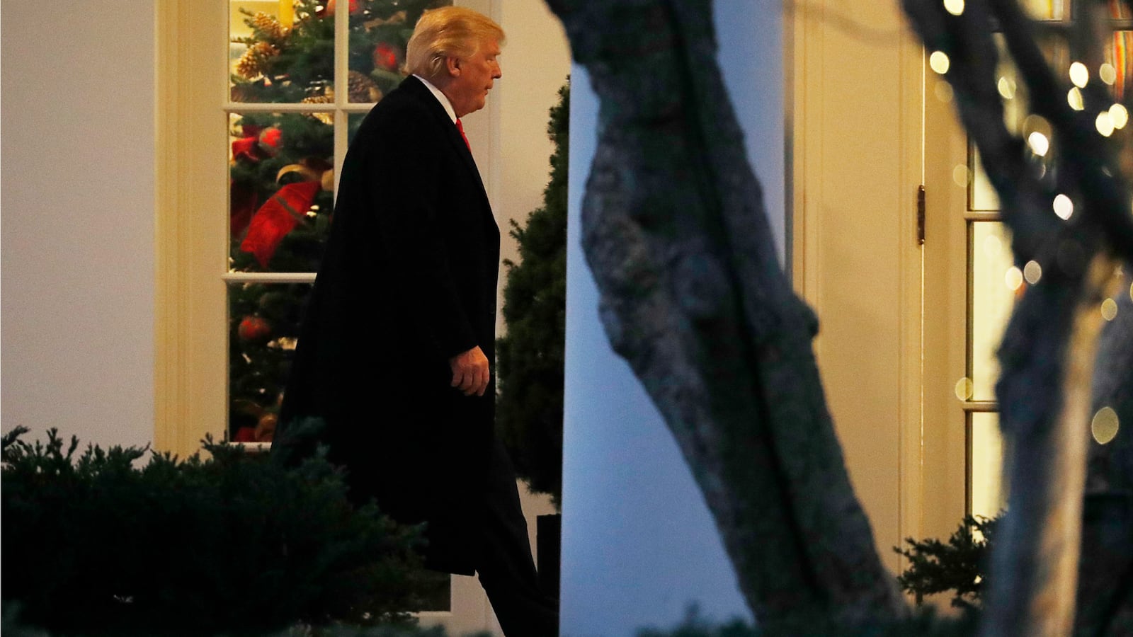 171221-trump-deputy-chief-leaving-cheat_rlwsqh