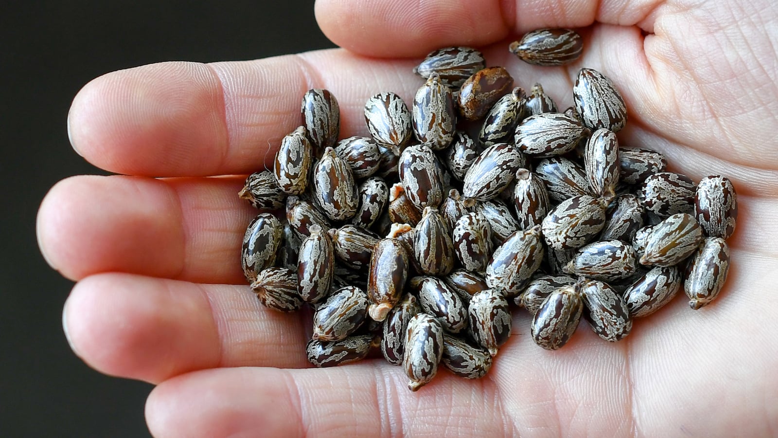 GettyImages-974117584_hrqx9p