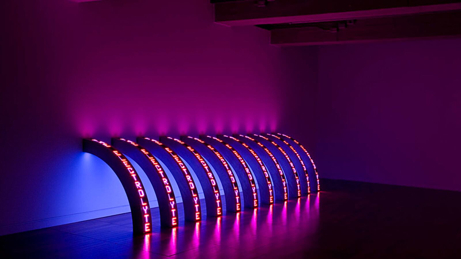 articles/2014/09/26/art-in-the-age-of-national-security/140926-holzer-ribs-tease_zjoraj