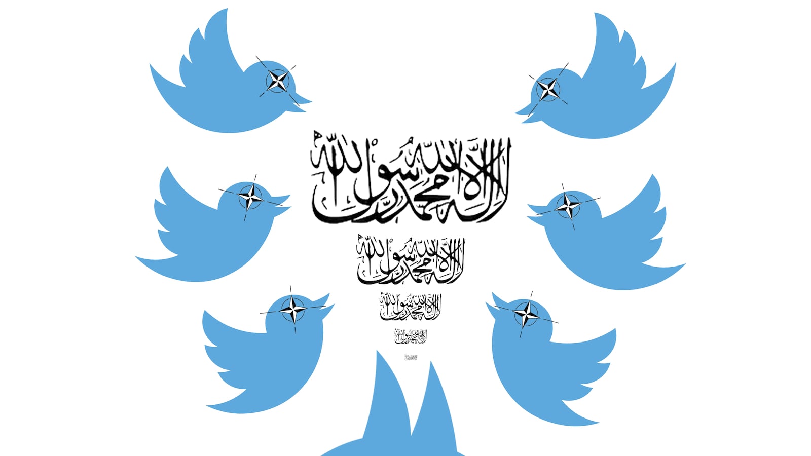 articles/2013/11/20/taliban-and-nato-war-on-twitter/131119-twitter-nato-al-qaeda-v1_kt7kpq