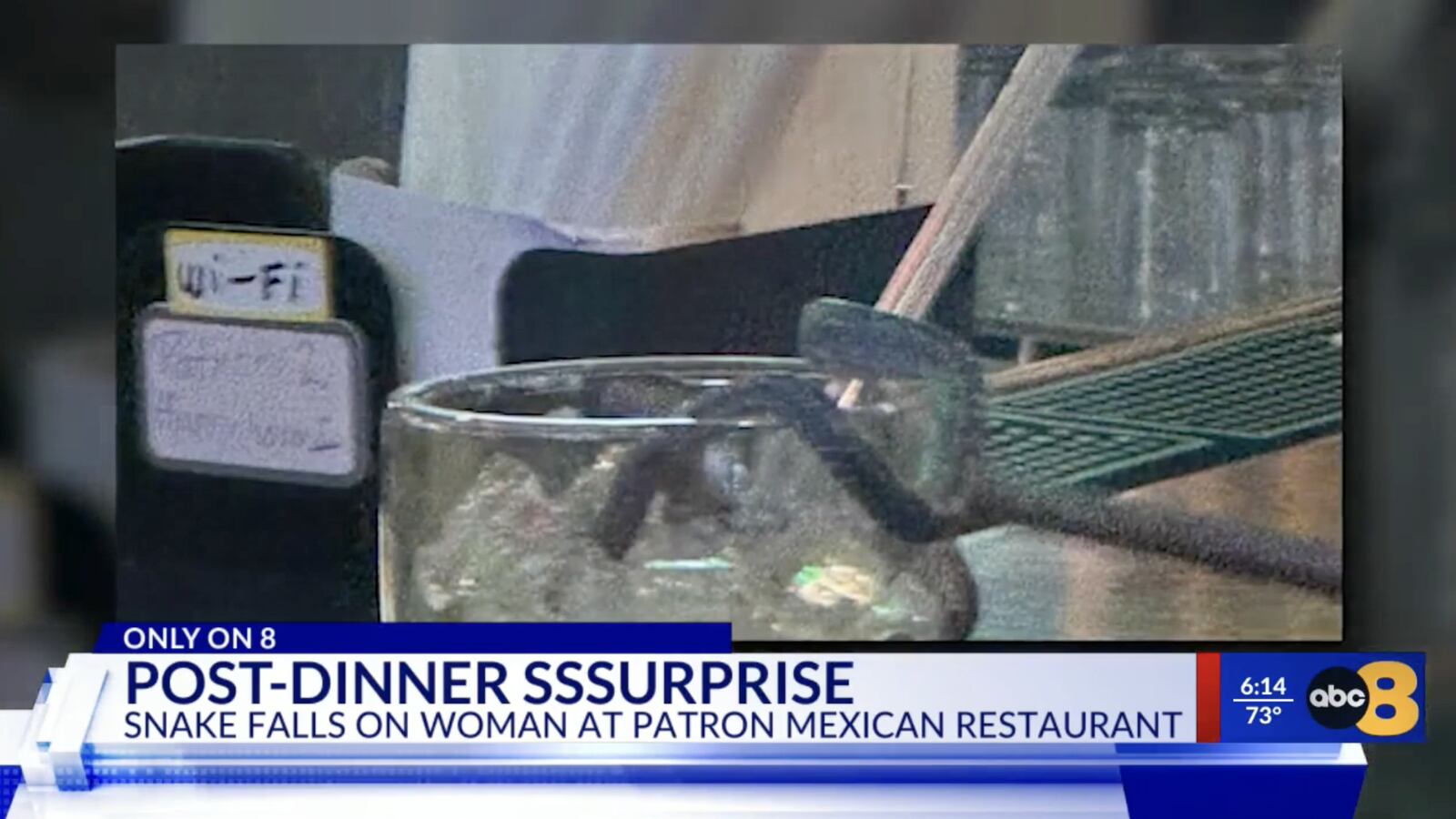 A snake fell into a Virginia woman's margarita.