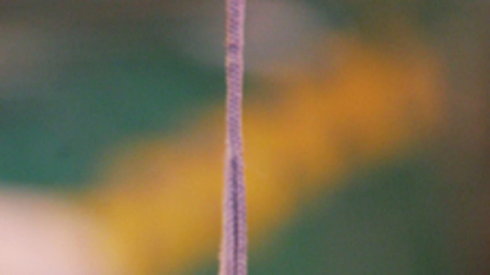 galleries/2011/02/14/2011-westminster-dog-show/westminster-dogs---fox-terrier_xuxght