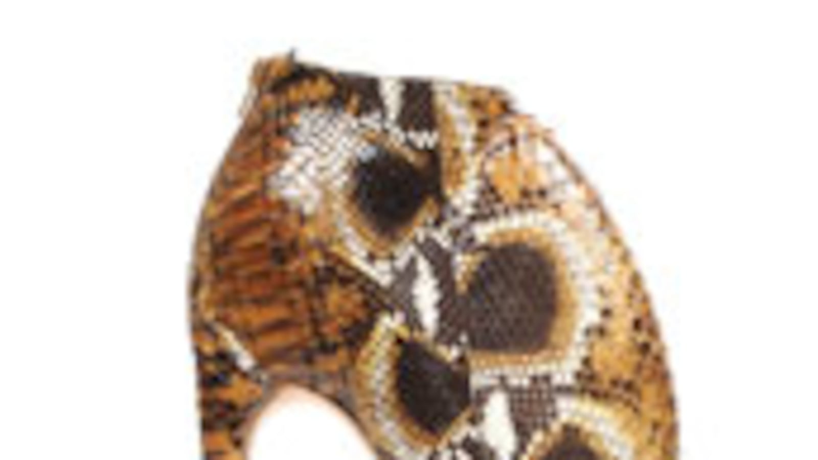 articles/2010/02/04/best-shoes-ever/mcqueen-claw_79860_snw6zn