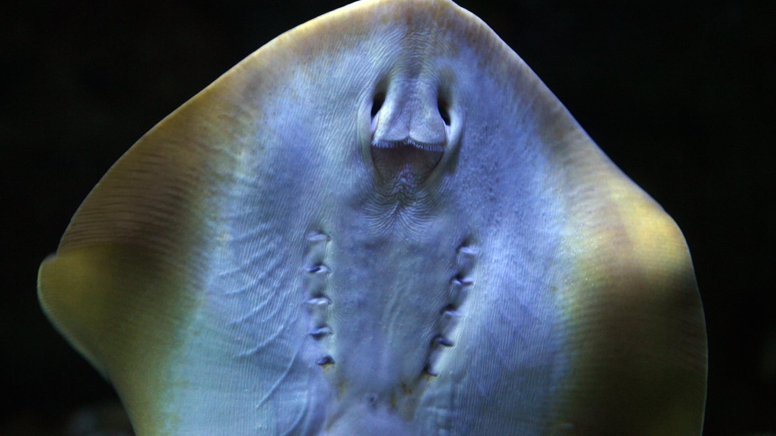 GettyImages-72473230_uo23ov