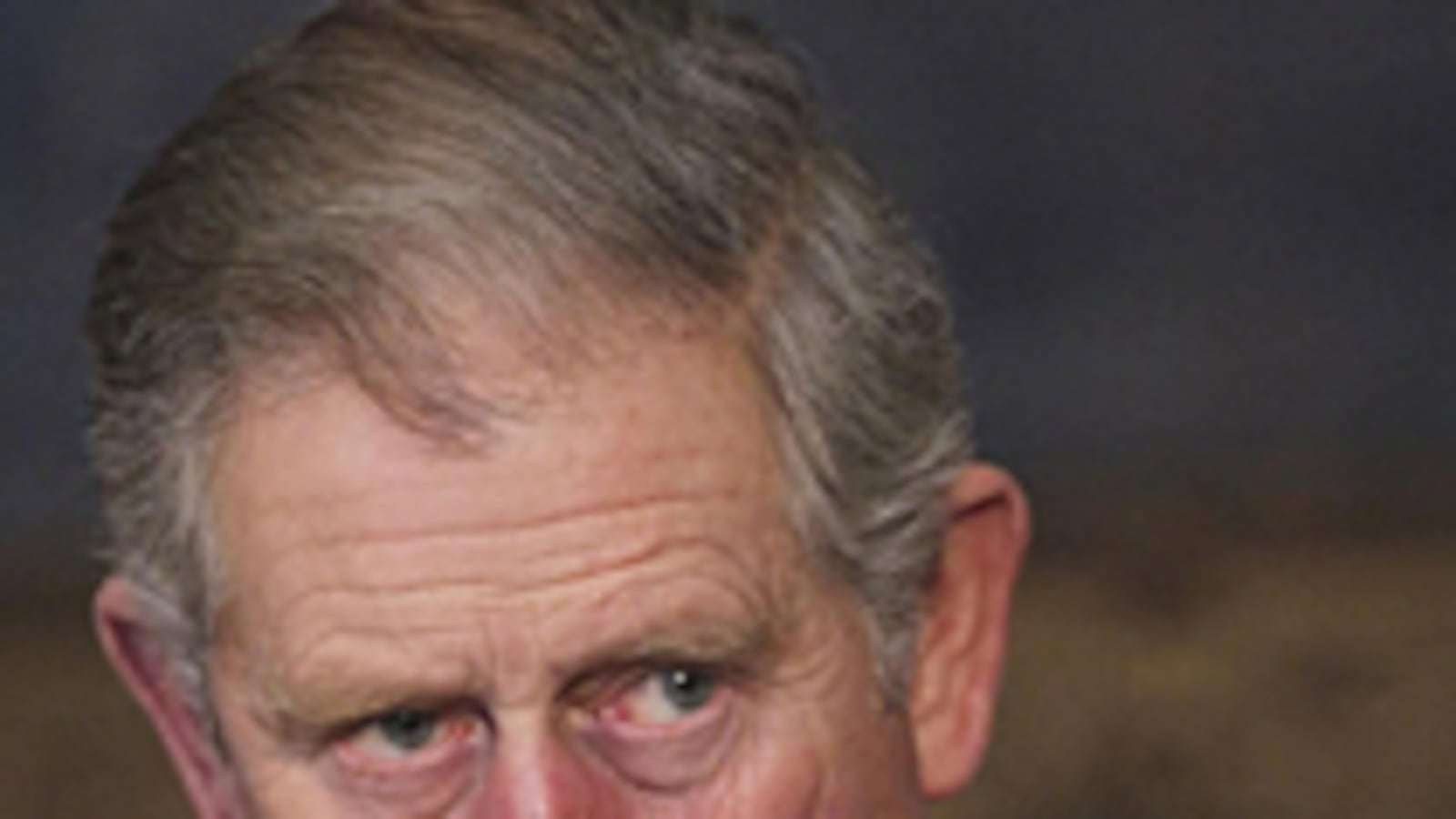 cheats/2009/01/14/prince-charles-under-fire/prince-charles_qvui2f