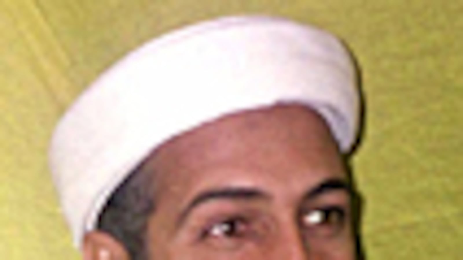 cheats/2011/05/03/bin-ladenrsquos-goal-bankrupt-the-us/riedel-al-qaeda_177289_moncub