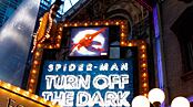 cheats/2011/02/16/roberto-aguirre-sacasa-rewriting-spider-man-on-broadway-report/bernstein-spiderman-video_153794_k2xlfs