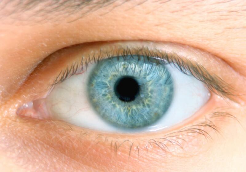 galleries/2010/06/23/ridiculous-plastic-surgeries/ridiculous-surgery---cosmetic-iris-implants-on-eyes_drolvq