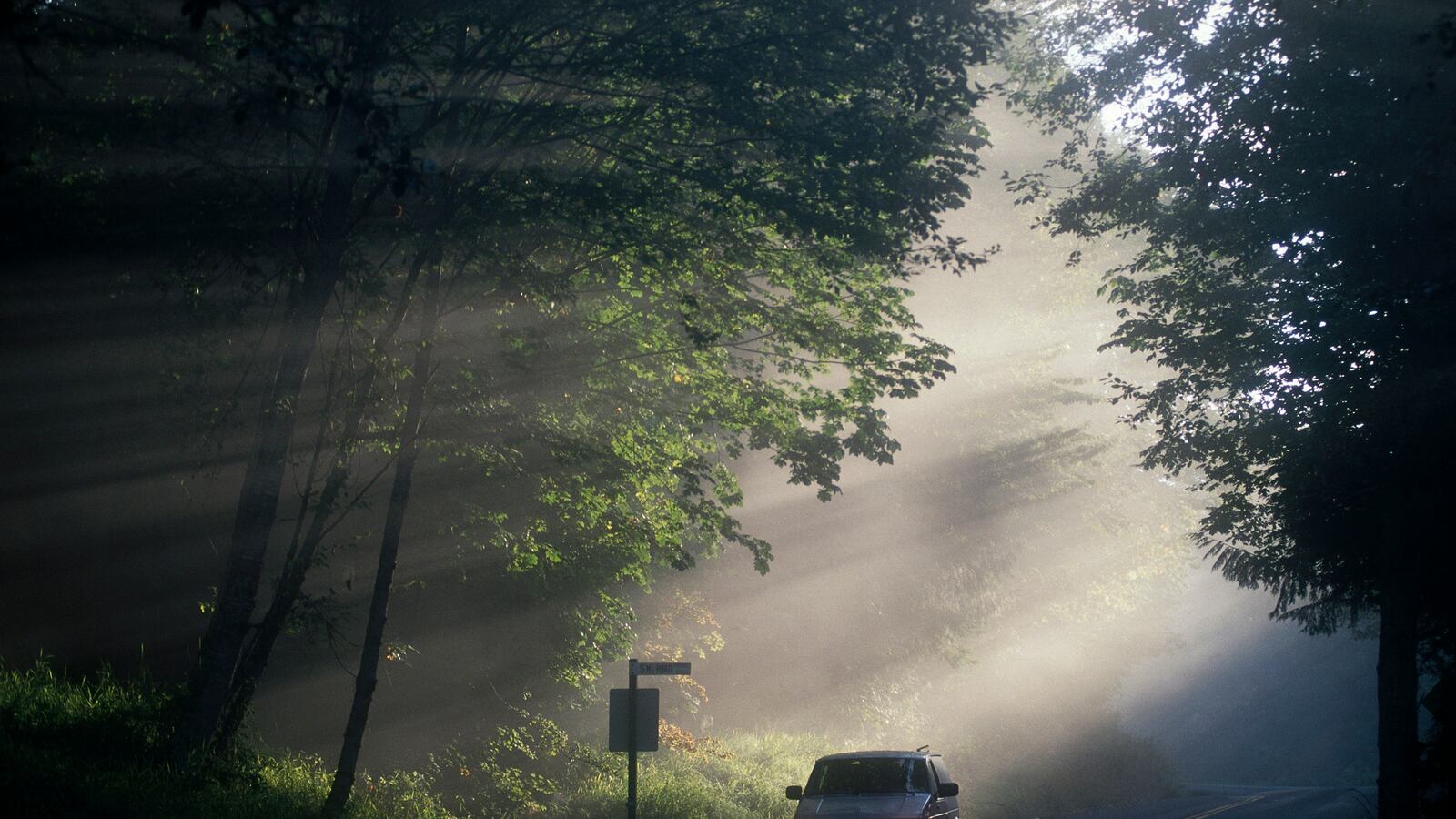articles/2013/05/14/meet-america-s-indiana-jones-andrew-carroll-searches-for-forgotten-history-across-the-u-s/130514-strochlic-carroll-tease-embed_wb6m4u