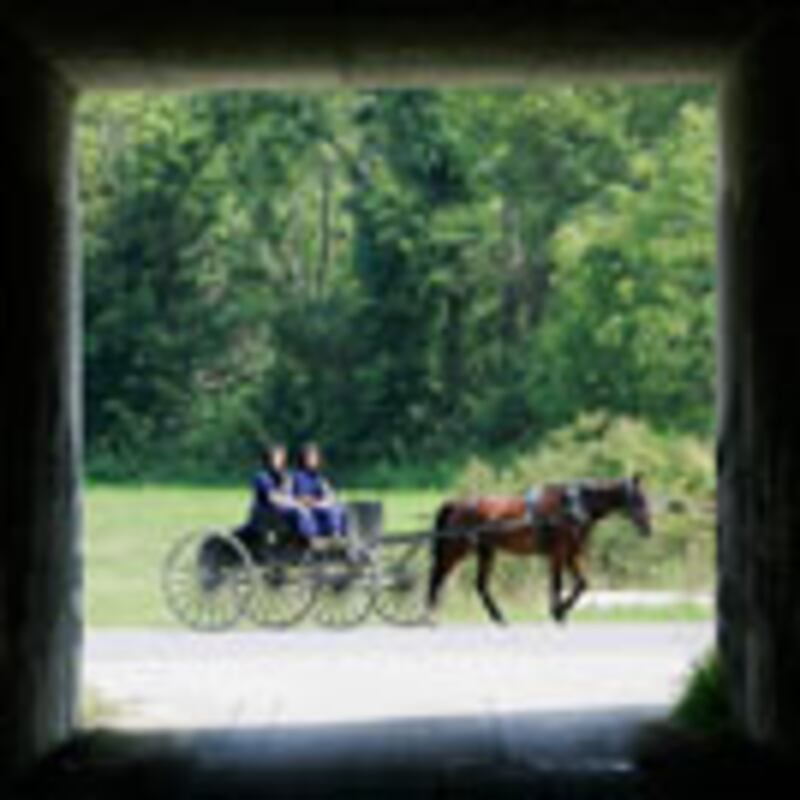 articles/2008/10/28/mccains-last-hope-the-amish-vote/sarlin-amish_2401_hrsje5