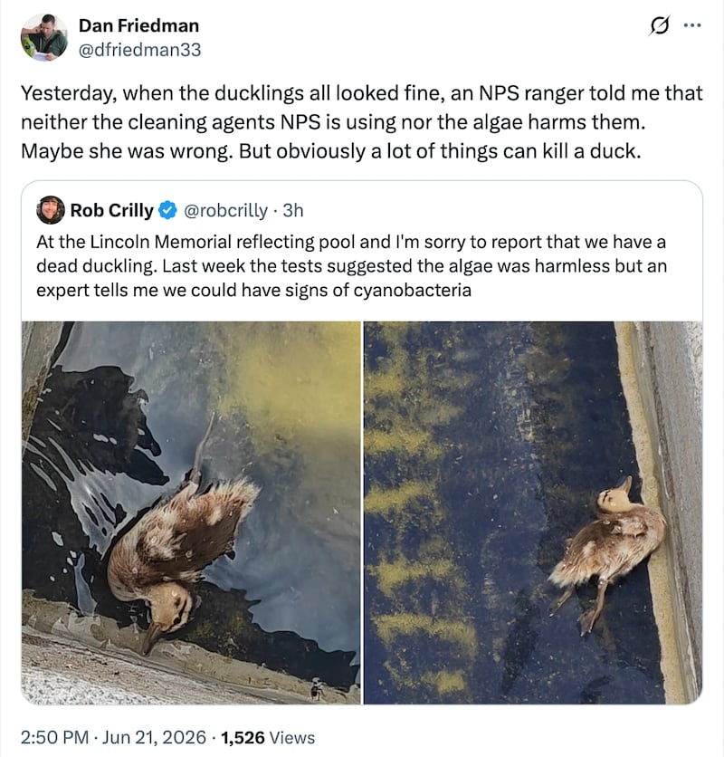 Images that circulated on social media of a dead duckling in the Reflecting Pool.