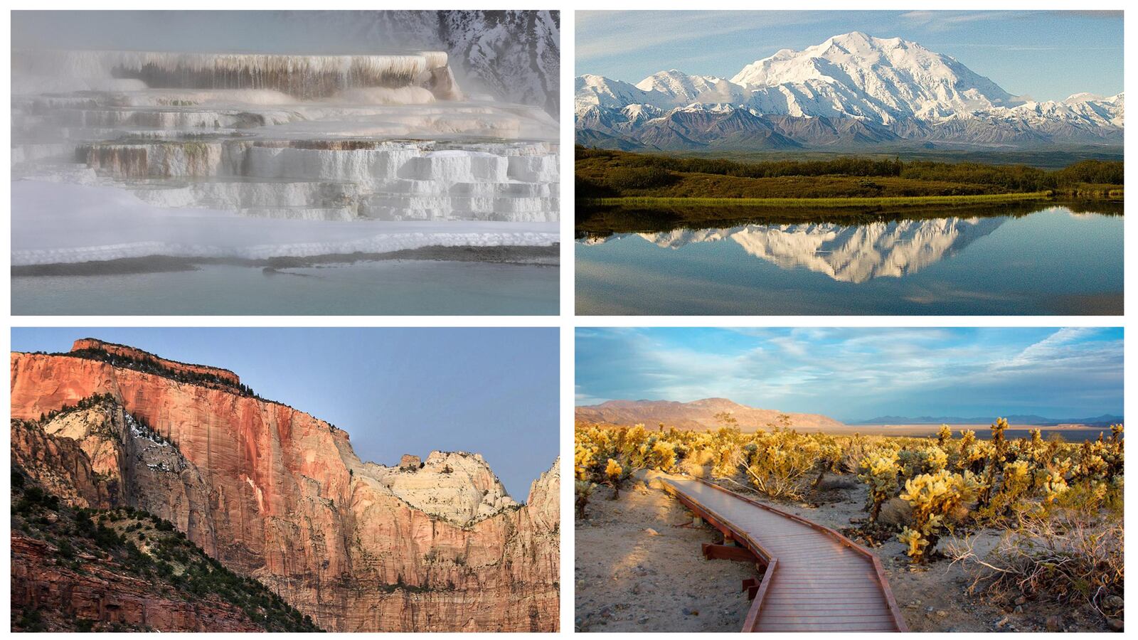 210115-parker-parks-tease_me9phf