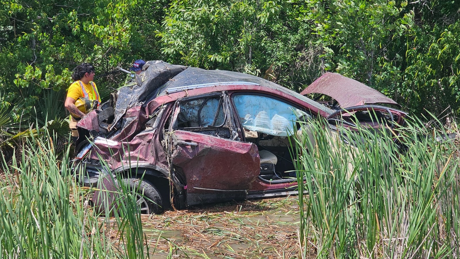 Car Crash in grass